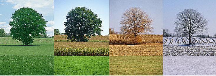 投身《战地风云 2042》，获取龙年外观